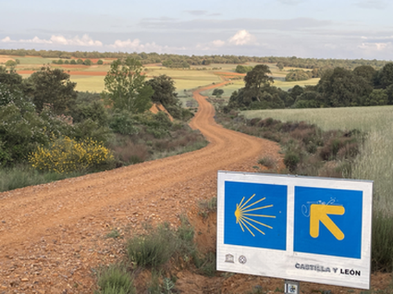 Chemin de Saint-Jacques-de-Compostelle